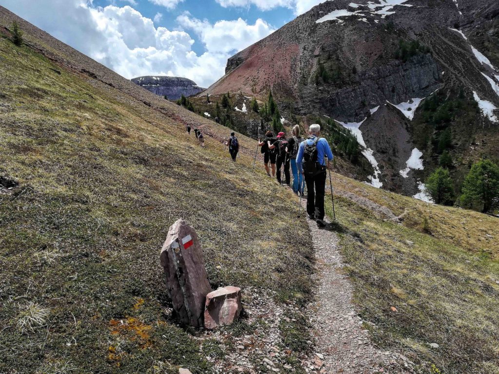 Nana Wandering