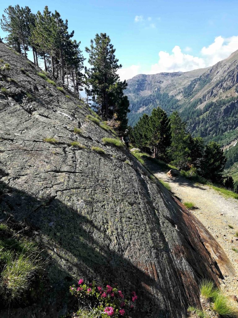 Impronte glaciali