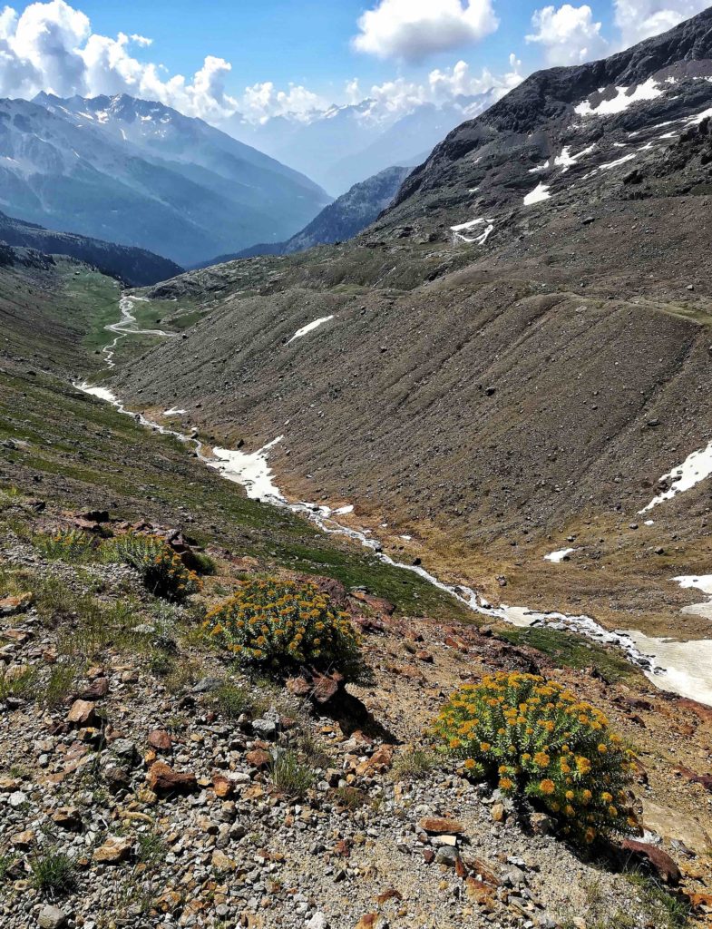 Impronte glaciali