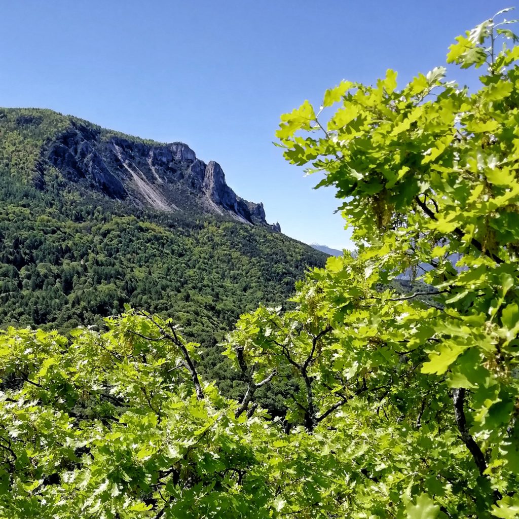 Traversata della Marzola