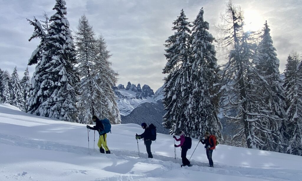 Dolomites Ski Touring beginners course