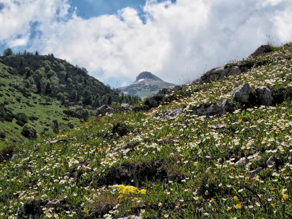 Hiking Tre Cime del Monte Bondone