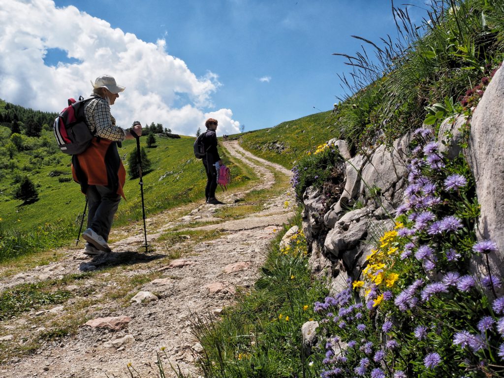 Hiking Tre Cime del Monte Bondonev