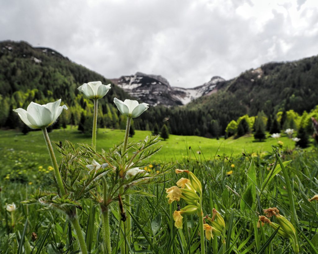 Hiking Tre Cime del Monte Bondone